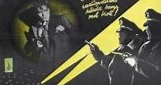 Entre la medianoche y el amanecer (1950) Online - Película Completa en Español - FULLTV