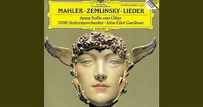 Mahler: Rückert-Lieder - Ich bin der Welt abhanden gekommen