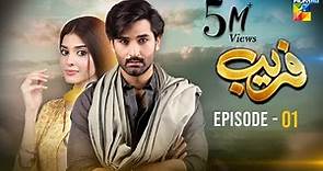 Fareb - Episode 01 - 7th May 2023 - [ Zain Baig, Zainab Shabbir , Maria Wasti ] HUM TV