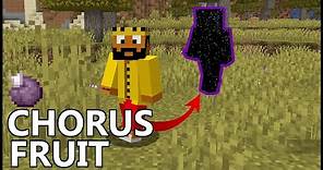 How To Get CHORUS FRUIT In MINECRAFT