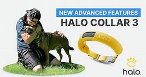 COOL AND EXCITING FEATURES OF THE HALO COLLAR VIRTUAL DOG GPS FENCE | HALO COLLAR 3 REVIEW