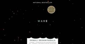 Plot summary, “Wave” by Sonali Deraniyagala in 5 Minutes - Book Review