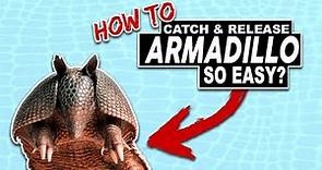HOW TO CATCH An ARMADILLO...SO EASY? See How I trap and Release an Armadillo At My Home!