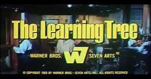 The Learning Tree (1969, trailer)