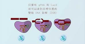 2 分鐘認識 CRISPR/Cas9 基因編輯技術 (CRISPR/Cas 9 Gene Editing Introduction)