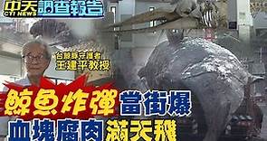 【#中天調查報告】史上頭遭! 抹香鯨台灣街頭炸裂 新型生物武器?
