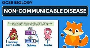 Non-communicable Disease - GCSE Biology