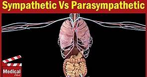 Pharmacology [ANS] 2- Sympathetic Vs Parasympathetic Nervous System ( Pharmacology MADE EASY )