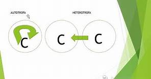 BIOLOGÍA TEMA LOS 5 REINOS DE WHITAKER