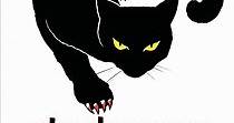 El gato negro - película: Ver online en español