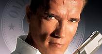 True Lies streaming: where to watch movie online?