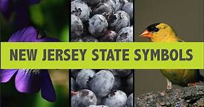 Do you know these N.J. state symbols?