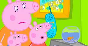 Goldie The Fish Is Unwell 🐠 | Peppa Pig Official Full Episodes