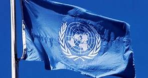 Dia Mundial do Meio Ambiente 2021: mensagem do secretário-geral da ONU