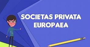 What is Societas privata Europaea?, Explain Societas privata Europaea