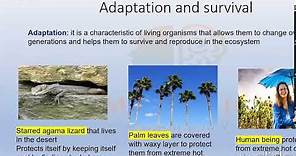 Adaptation 1: Definition of Adaptation