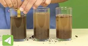 Loamy soils contain sand, clay and humus | Types of Soil | Biology