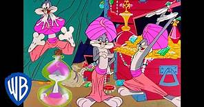 Looney Tunes | Genie Bugs | Classic Cartoon | WB Kid