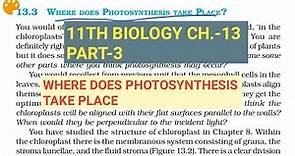 Class 11 Biology|Ch.-13 |Part-3||Where does photosynthesis take place||Study with Farru
