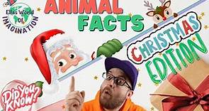 Christmas Special! Fascinating Facts about Festive Animals!