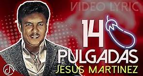 14 PULGADAS 🍆 Jesus Martinez 🎺 (Video Lyric)