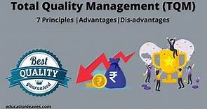 What is Total Quality management (TQM)? | 7 Principles of Total Quality Management