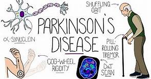 Understanding Parkinson's Disease (Including Direct and Indirect Pathways)