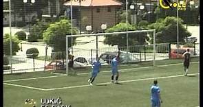 Sasa Lukic Football Player