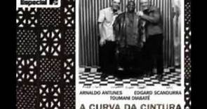 ARNALDO ANTUNES - a curva da cintura