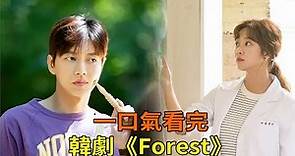 愛情韓劇《森林》一口氣看完，樸海鎮、曹寶兒在神秘的森林尋找自己與愛情的故事