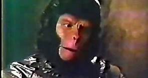 WKBS Farewell To the Planet of the Apes promo, 1981