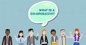 What is a coop