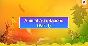 Animal Adaptations | Science Video For Kids | Periwinkle