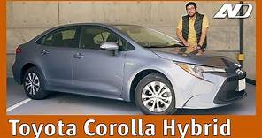 Toyota Corolla Híbrido ⭐️ - Sorprendente evolución y el mejor híbrido por el precio