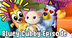 Bluey Cubby Episode | Bluey Cubby Full Episode Pretend Play | Disney Jr | ABC Kids | BLUEY Kimjim