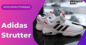 Adidas Strutter White (EG2655) Onfeet Review | sneakers.by