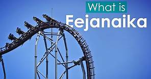 What is: Eejanaika - The World's Largest 4D Roller Coaster