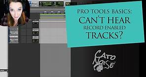 Pro Tools Basics: Mute Record-Armed Tracks while Stopped Setting