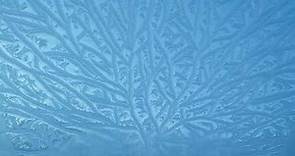 'Jack Frost' on Window panes - ice patterns in winter