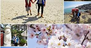 韓國釜山 ▌在海雲台海灘奔跑吧！沿路賞海月亭。賞月路。迎月嶺櫻花滿開 ❀ 海東龍宮寺