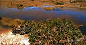 Kalahari 2 The Flooded Desert (Nature Documentary)