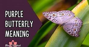 Purple Butterfly Meaning