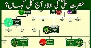 Family Tree of Hazrat Ali | The Most Influential Muslim of All Time | Part 01 | Nasheed @calmislam