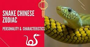 SNAKE CHINESE ZODIAC : PERSONALITY & CHARACTERISTICS