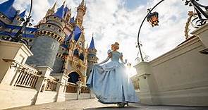 The History of Cinderella Castle