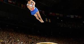 2013 Artistic Gymnastics World Championships - Men's VT, PB and HB Finals - We are Gymnastics!