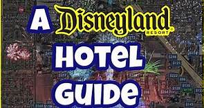 Where Should I Stay? The DISNEYLAND Hotel Options!