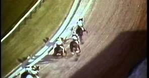 Secretariat wins the 1973 Preakness Stakes