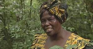 Wangari Maathai Tribute Film