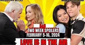 The Bold And The Beautiful Spoilers For Next Two Weeks: Two Weddings And A Big Explosion